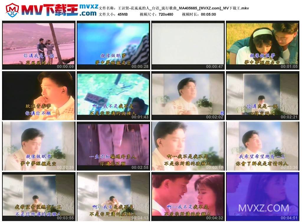 王识贤-花虱虱的人_台语_流行歌曲_MA405685
